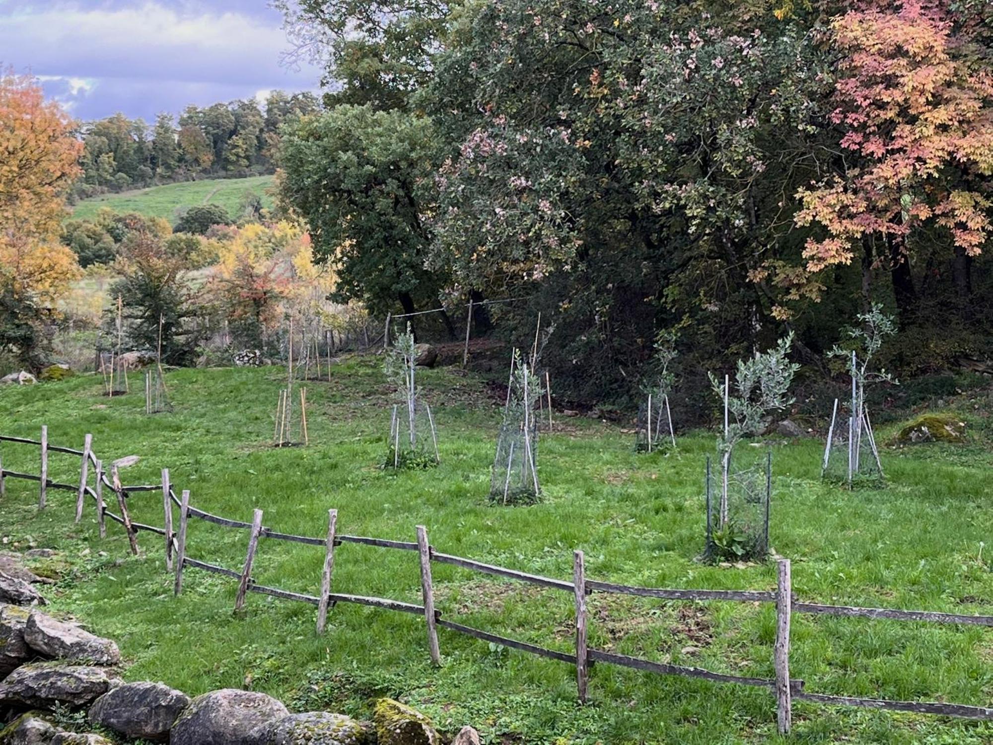 Casetta Di Ugolino Radicofani Eksteriør bilde